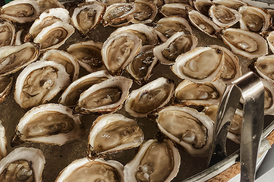 CM Oysters